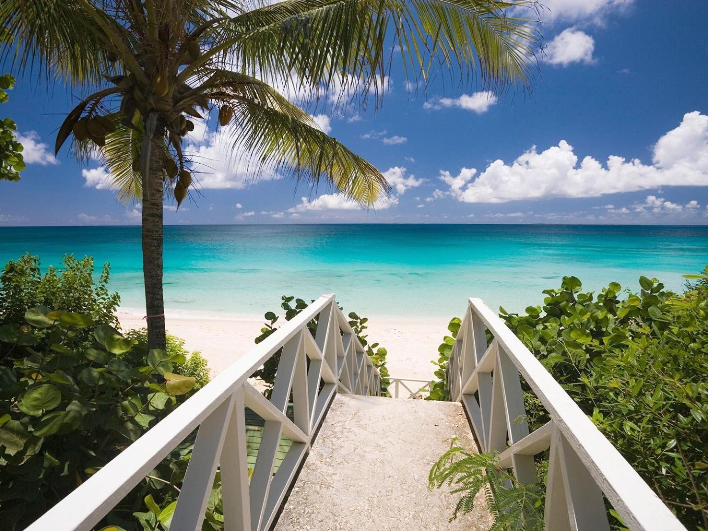 Tranquil Paradise 4Br - 2 Miles To Tampa Bucs Stadium Villa Ngoại thất bức ảnh